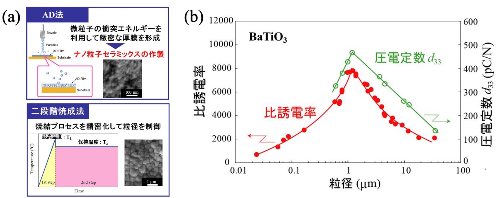 チタン酸バリウム系セラミックスのサイズ効果画像